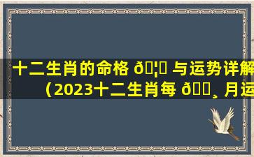 十二生肖的命格 🦋 与运势详解（2023十二生肖每 🕸 月运势详解）